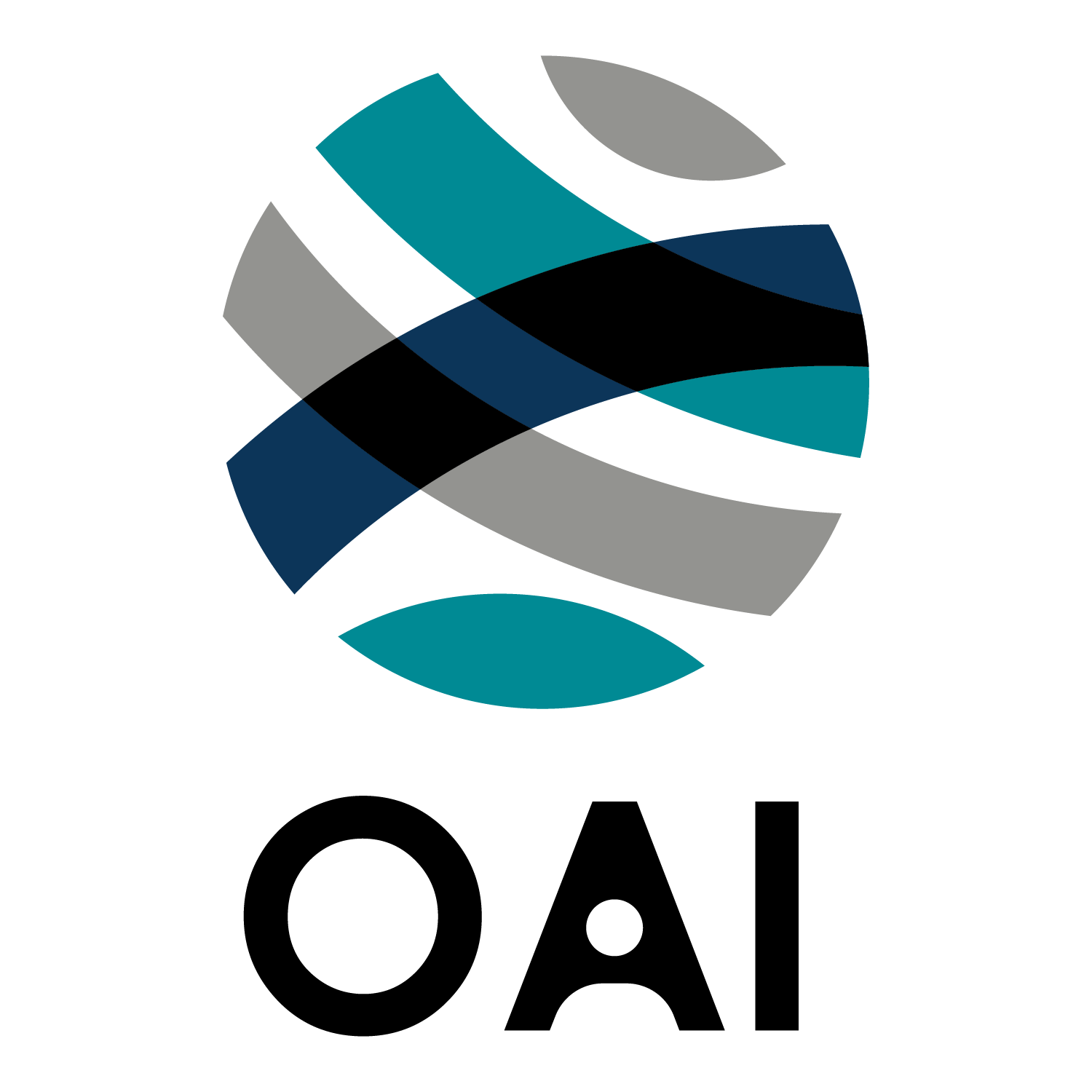 Oriental Aviation International Pte Ltd