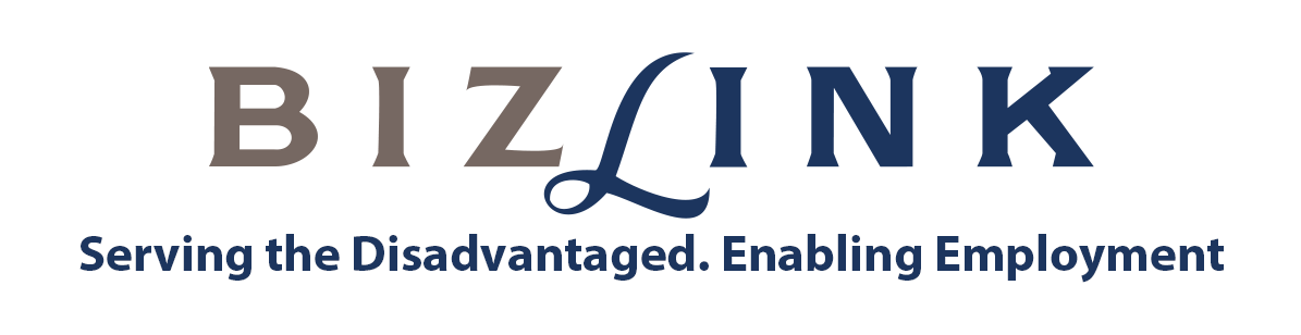 Bizlink Centre Singapore Ltd