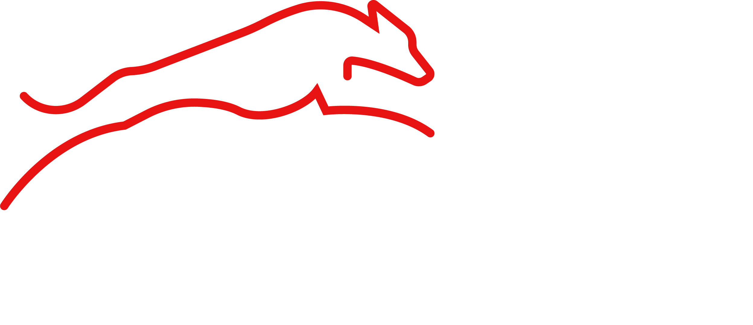 Royal Greyhound Pte Ltd
